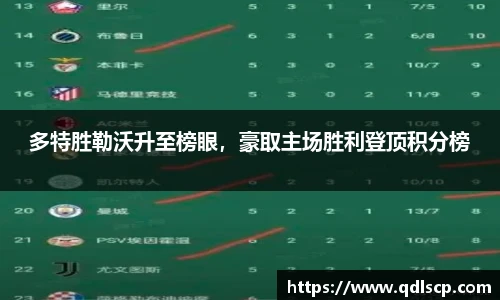 多特胜勒沃升至榜眼，豪取主场胜利登顶积分榜