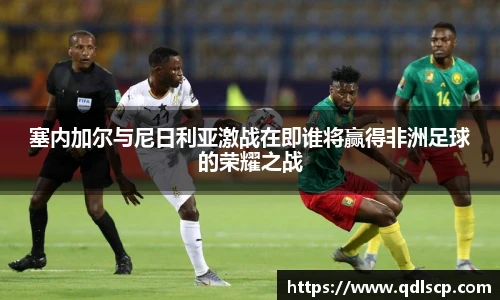 塞内加尔与尼日利亚激战在即谁将赢得非洲足球的荣耀之战
