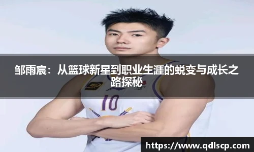 星空·综合体育官网