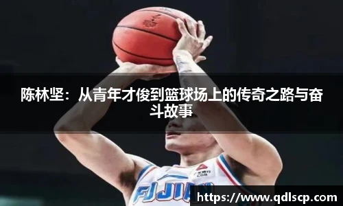 星空·综合体育官网